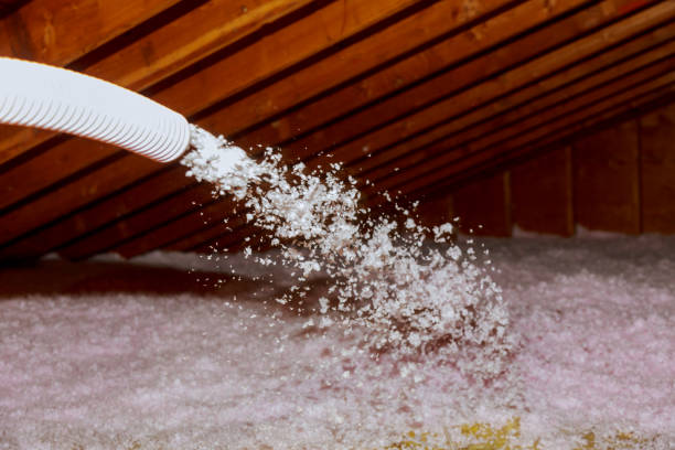 Best Energy-efficient Insulation  in Cambridge, NE