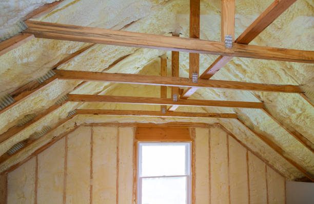 Best Best Insulation Companies  in Cambridge, NE