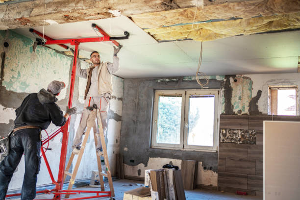 Best Insulation Contractors for Homes  in Cambridge, NE