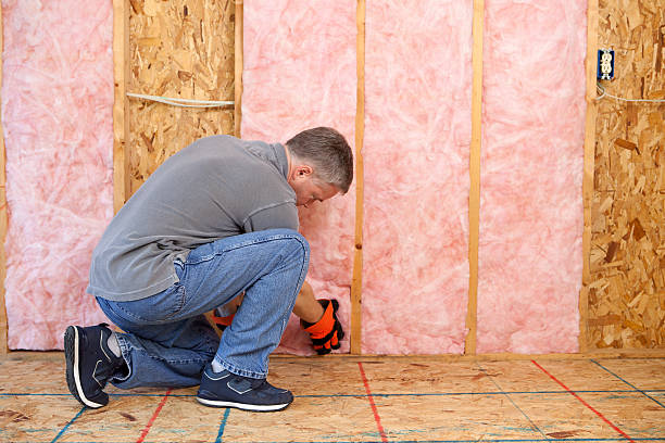 Best Professional Insulation Contractor  in Cambridge, NE