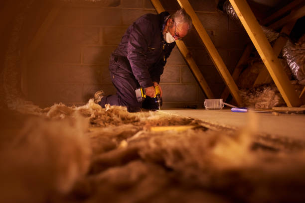 Best Cellulose Insulation  in Cambridge, NE