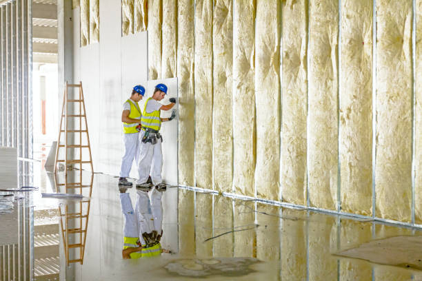 Best Attic Insulation Installation  in Cambridge, NE